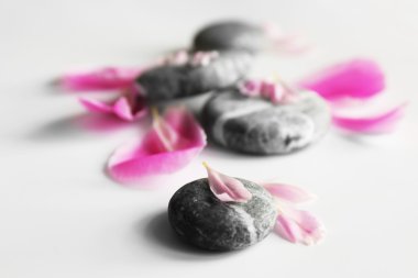 Spa taş yaprakları ile 