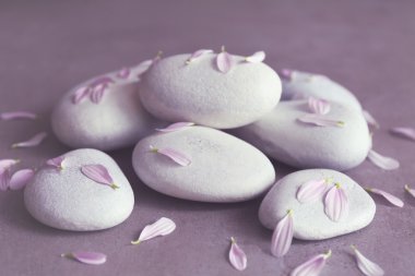 Spa taş yaprakları ile