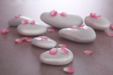 Spa taş yaprakları ile