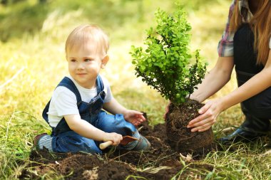 Şirin bebek çocuk dikim ağaç