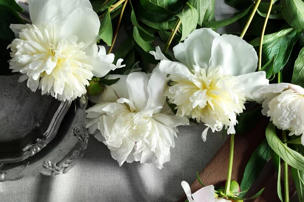 Sammansättning med vacker pion blommor — Stockfoto