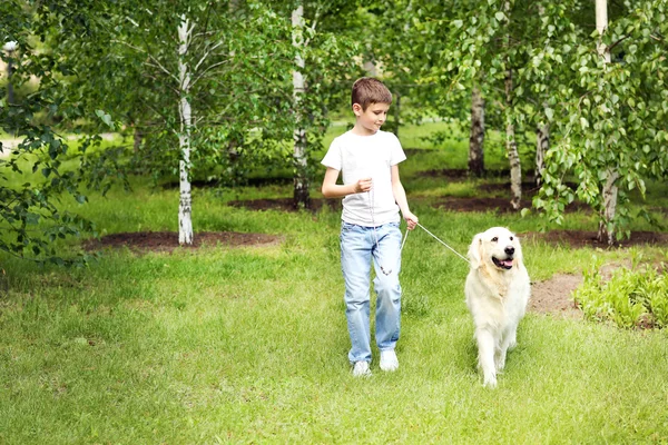 Menino e bonito cão — Fotografia de Stock