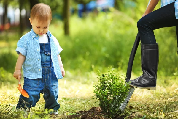 Cute baby boy planting tree — Stock Photo, Image