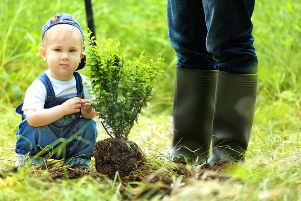 Χαριτωμένο μωρό αγόρι φύτευσης δέντρων — Φωτογραφία Αρχείου