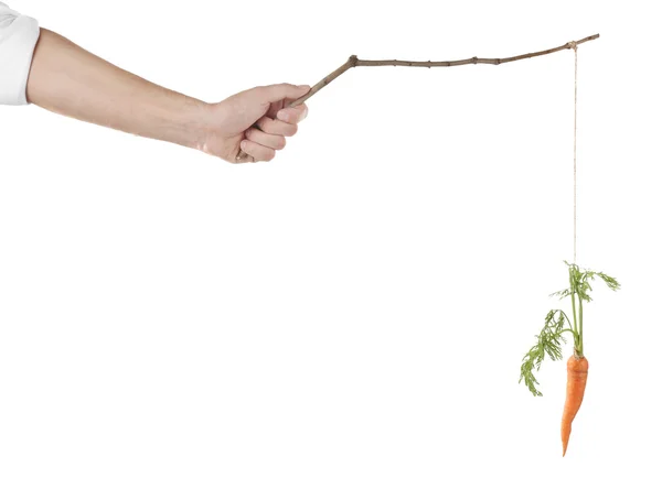 Konsep motivasi dari wortel gantung — Stok Foto