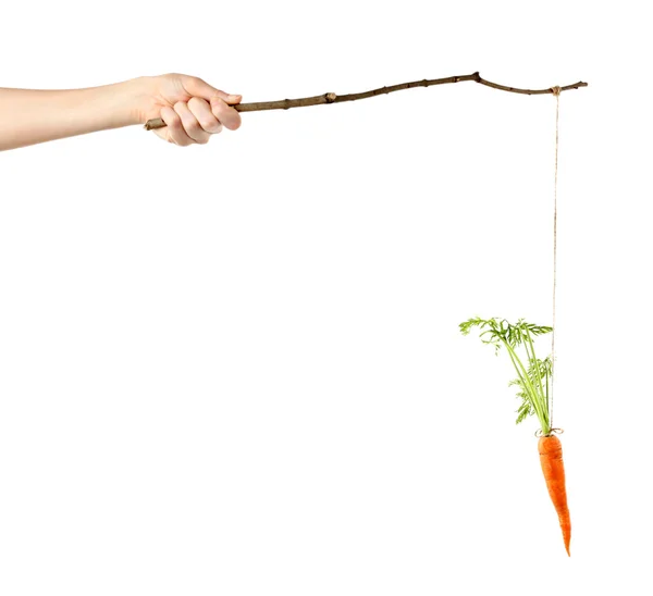 Conceito de motivação da cenoura suspensa — Fotografia de Stock