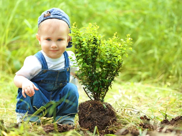 Cute baby boy sadzenia drzewa — Zdjęcie stockowe