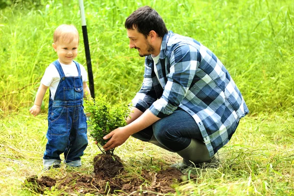 Schattige baby jongen aanplant boom — Stockfoto