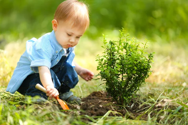 Manis bayi laki-laki penanaman pohon — Stok Foto