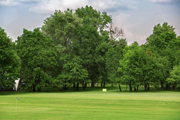 Parc de printemps vert — Photo