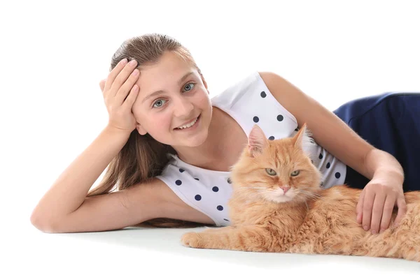 Красивая девушка с милым котом — стоковое фото