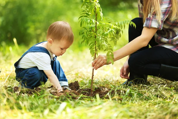 Roztomilý baby boy výsadbu strom — Stock fotografie