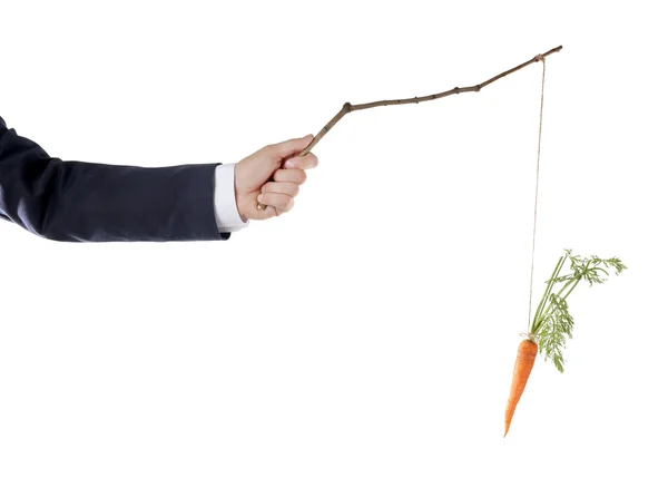 Hanging carrot on stick — Stock Photo, Image
