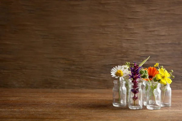 Healing flowers in glass bottles — Stock Photo, Image