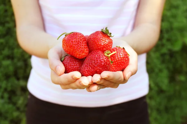 여성 손 들고 딸기 — 스톡 사진