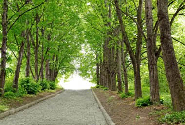 Bahar Botanik Parkı