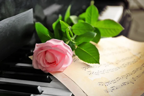 Pink rose op piano toetsen, close-up — Stockfoto