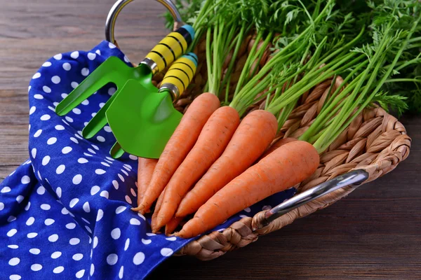 Свежая морковь в плетеном подносе — стоковое фото