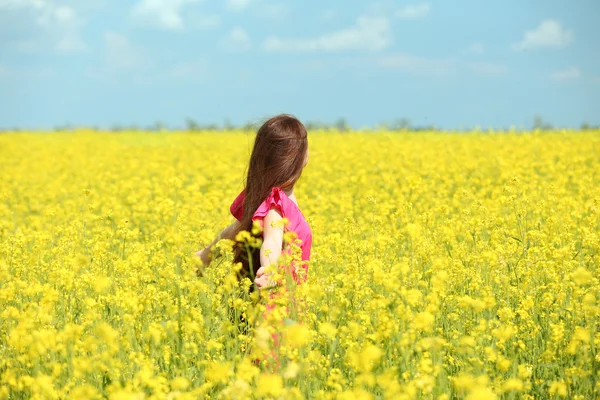 Tatlı kız çayırda — Stok fotoğraf