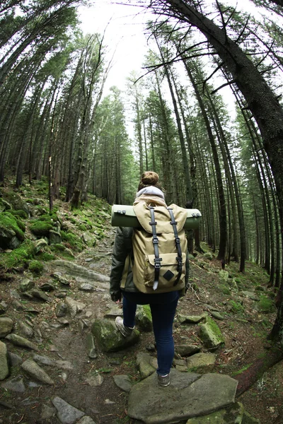 Tourist walking in mountain forest Royalty Free Stock Images