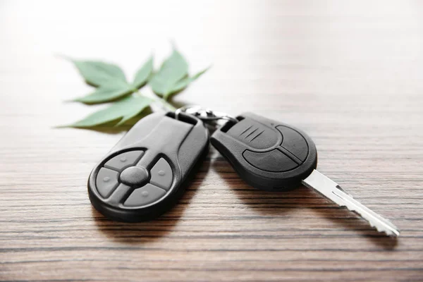 Car key with green leaf — Stock Photo, Image