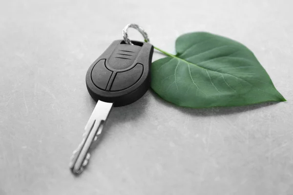 车钥匙，用绿色的叶子 — 图库照片