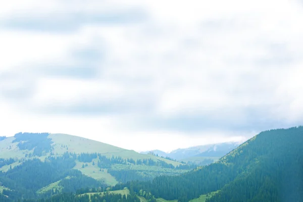 안개 산맥의 보기 — 스톡 사진