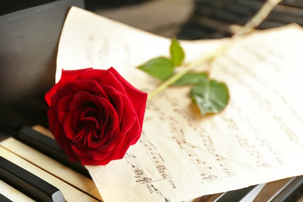 Красная роза и ноты — стоковое фото