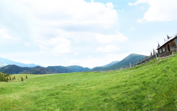 Bosque de primavera en laderas de montaña — Foto de Stock