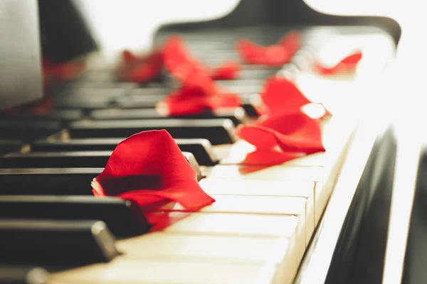 钢琴键上的玫瑰花瓣 — 图库照片