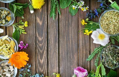 Bitki seçimi ve taze çiçekler 