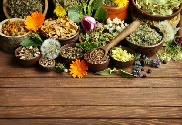 Gyógynövény kiválasztása és a friss virágok — Stock Fotó