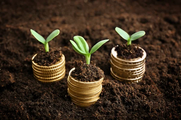 Coins in soil with young plant. — Stock Photo, Image