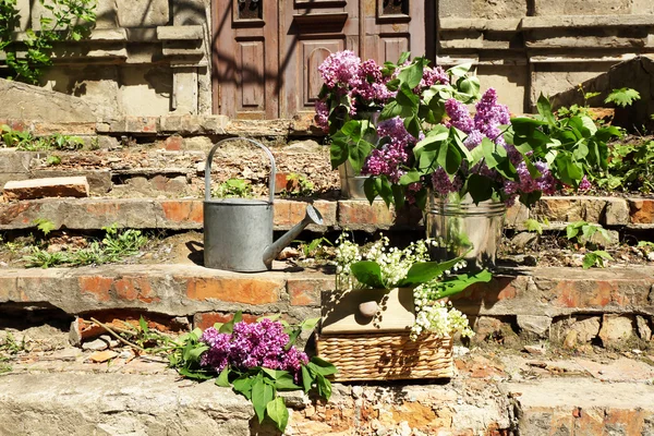 Ramos de flores de primavera — Foto de Stock