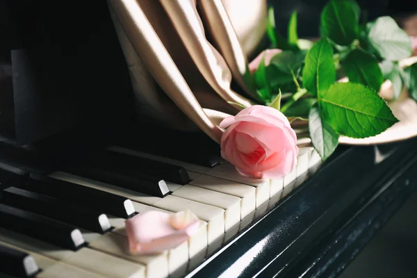 Pink rose op piano — Stockfoto