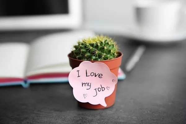 Cactus in pot on grey table — Stock Photo, Image