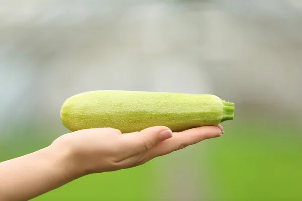 Weibliche Hand hält Squash — Stockfoto