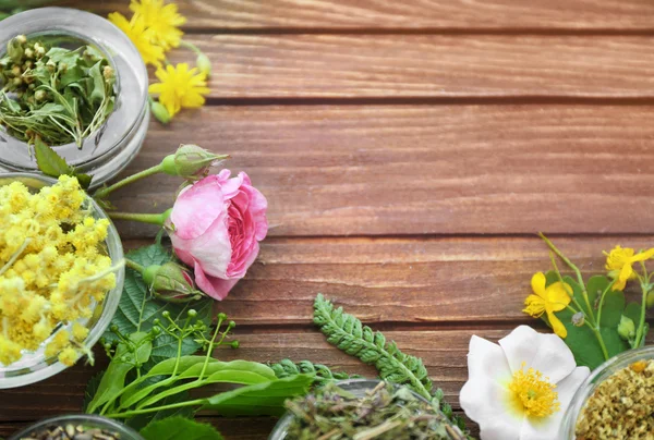 Herbs selection and fresh flowers — Stock Photo, Image