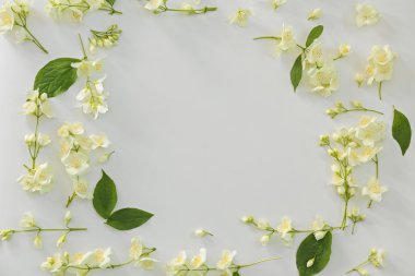 taze Yasemin çiçekleri