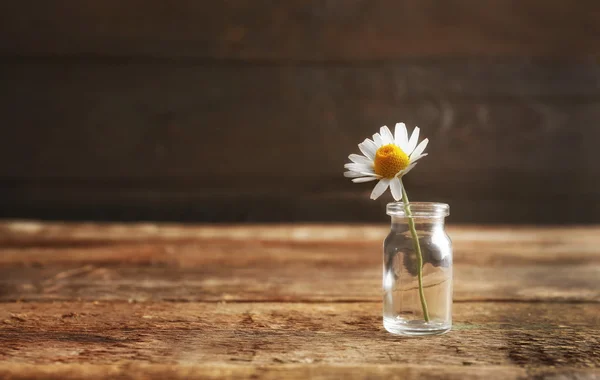 Chamomile flower in small glass bottle — Stock Photo, Image