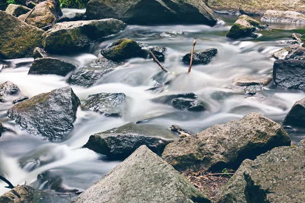 Creek z kamieniami w lesie — Zdjęcie stockowe