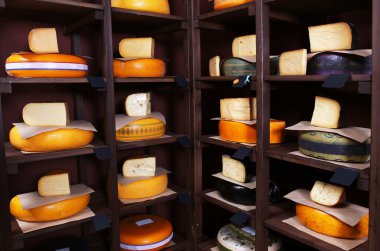 farklı peynir çeşitleri.