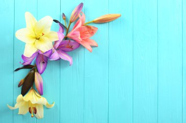 Arka plan üzerinde güzel zambak