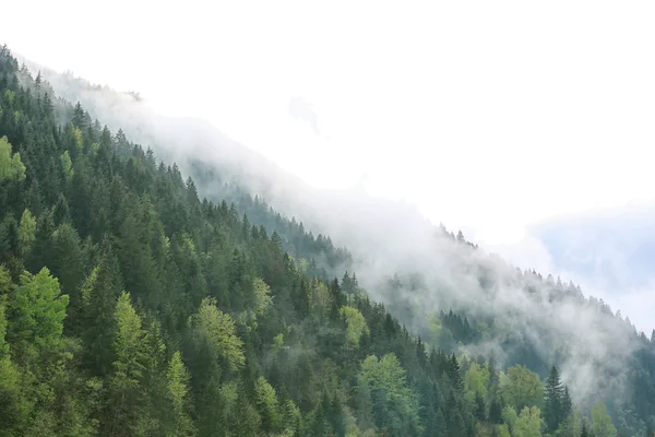 View of foggy mountains — Stock Photo, Image