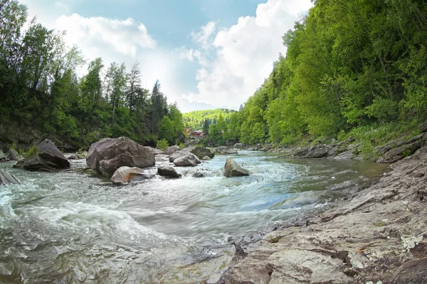 Magnificent mountain river — Stock Photo, Image