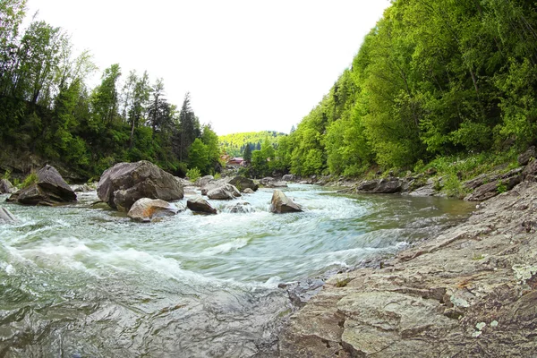 Magnífico rio de montanha — Fotografia de Stock