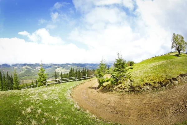 Camino en el bosque de montaña — Foto de Stock