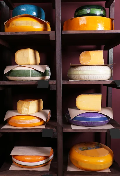 Verschillende soorten kaas — Stockfoto
