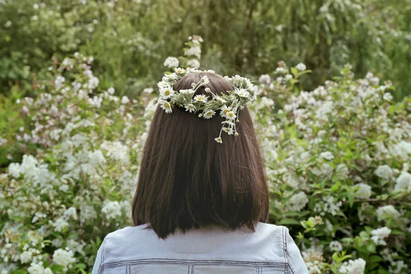 Beautiful daisy wreath — Stock Photo, Image