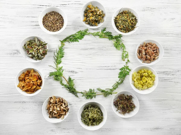 Natural flower and herb selection — Stock Photo, Image